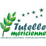 logo-tutelle-mericienne