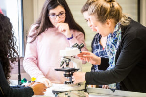 Seconde générale et technologique Vannes