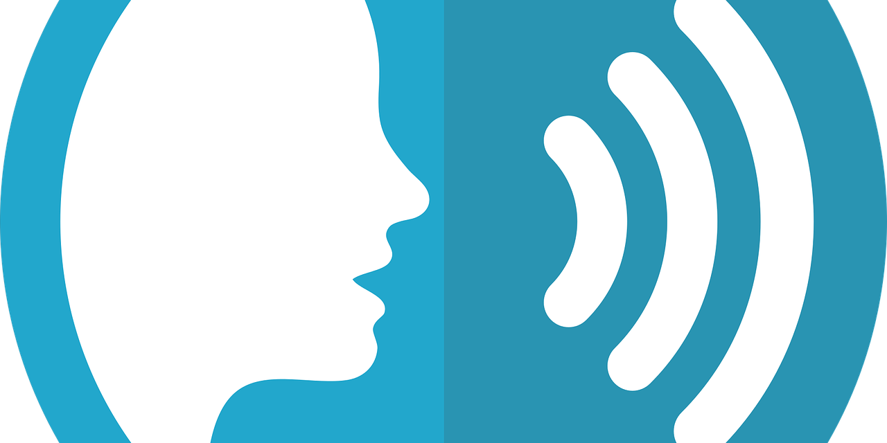 speech-icon-2797263_1280