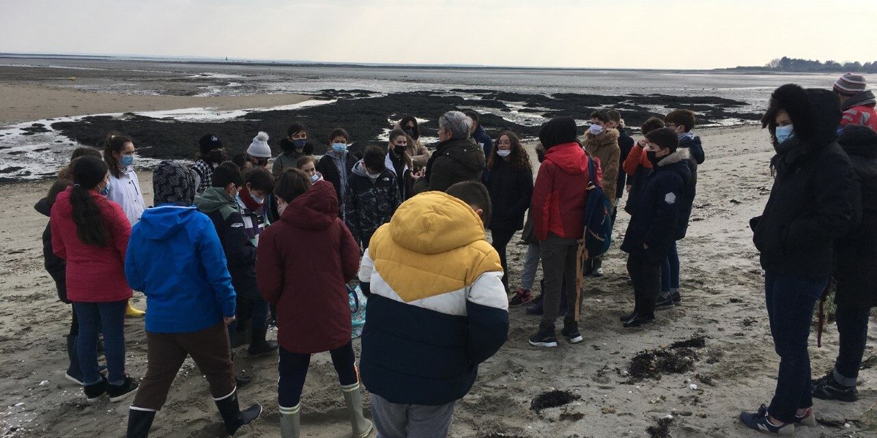 thumbnail_8245060696346186227