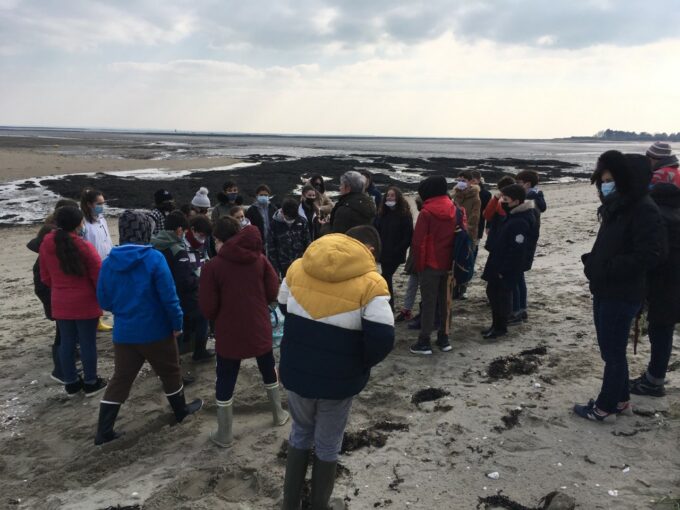 thumbnail_8245060696346186227