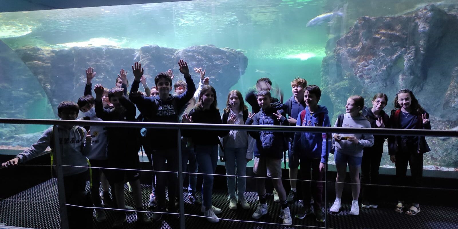 WhatsApp Image 2022-05-17 at 11.38.03