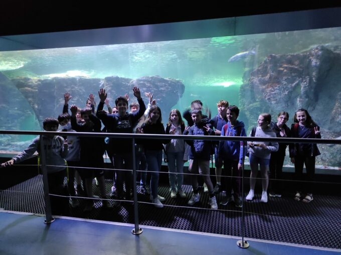 WhatsApp Image 2022-05-17 at 11.38.03