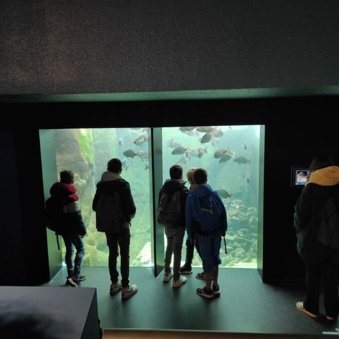 WhatsApp Image 2022-11-29 at 11.15.01 (1)