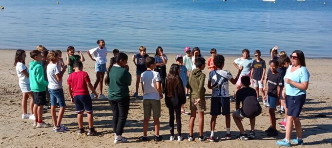 MicrosoftTeams-image (153)