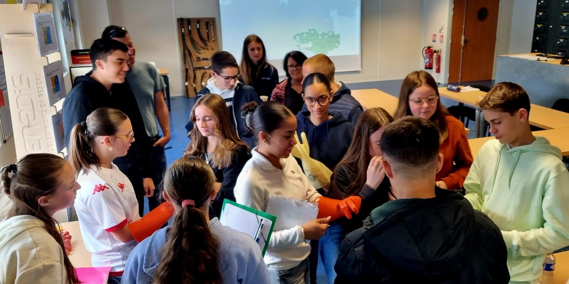 MicrosoftTeams-image (134)