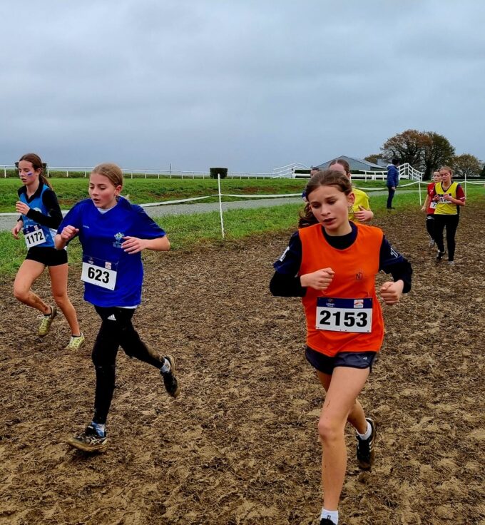 499cad46-dd81-4be3-ba58-f257bca80265